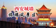 美女被鸡巴操的喊不要中国陕西-西安城墙旅游风景区