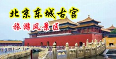大鸡巴干护士中国北京-东城古宫旅游风景区